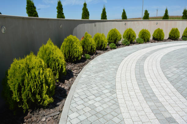 Best Driveway Pavers Installation  in , MN